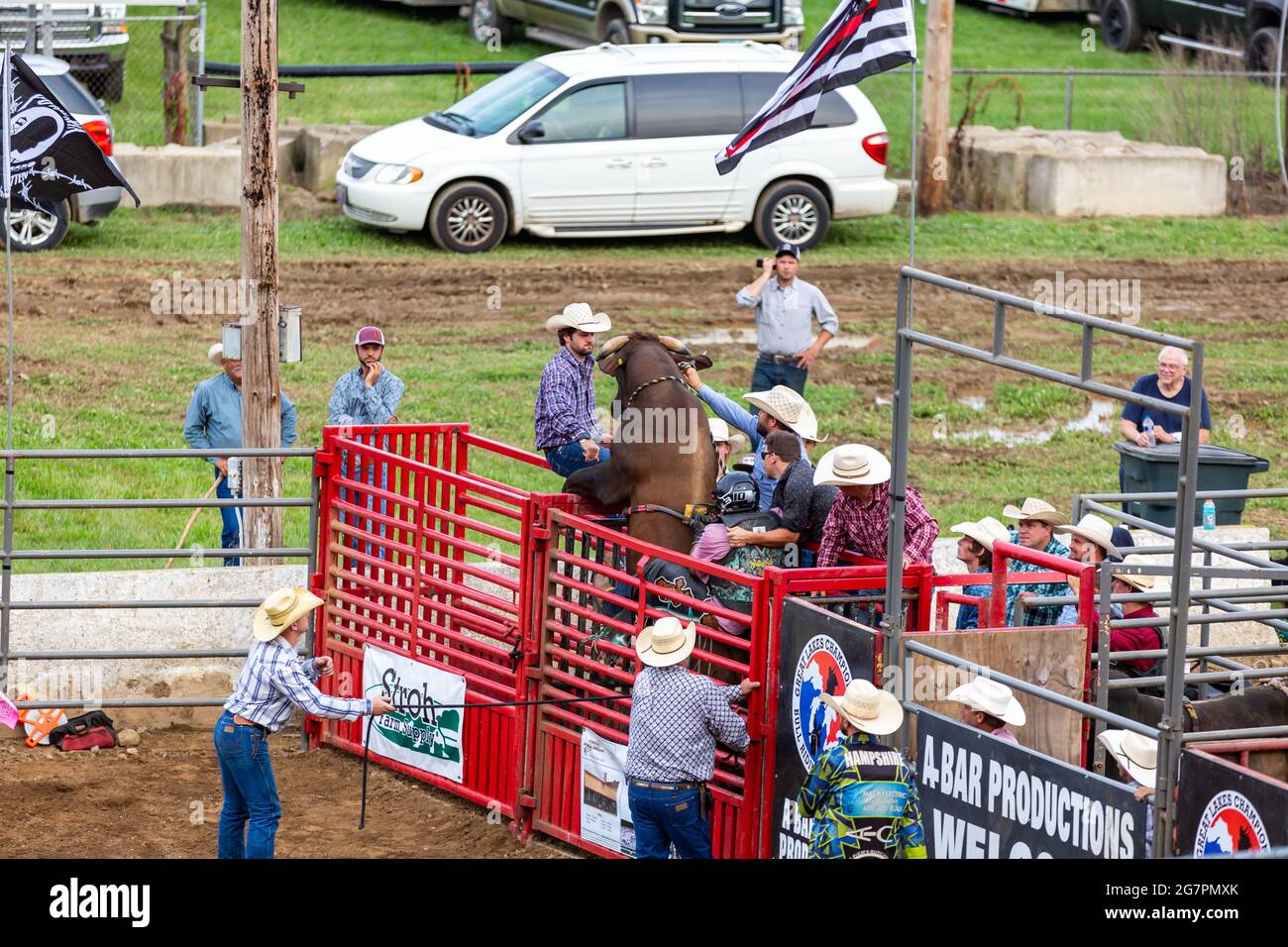 An angry bull attempts to escape the bullpen prior to a rodeo event at the Noble County Fairgrounds, Kendallville, Indiana, USA Stock Photo