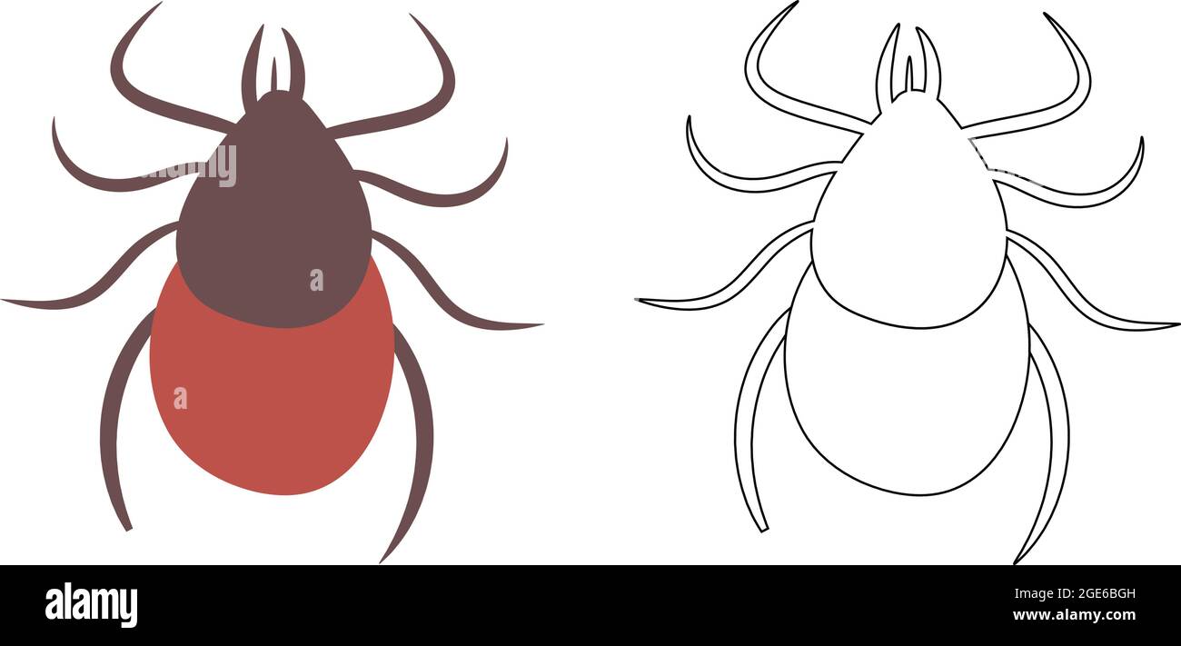 Tick Parasite Animal. Tick Bite Vector Clipart Silhouette and Outline. Stock Vector