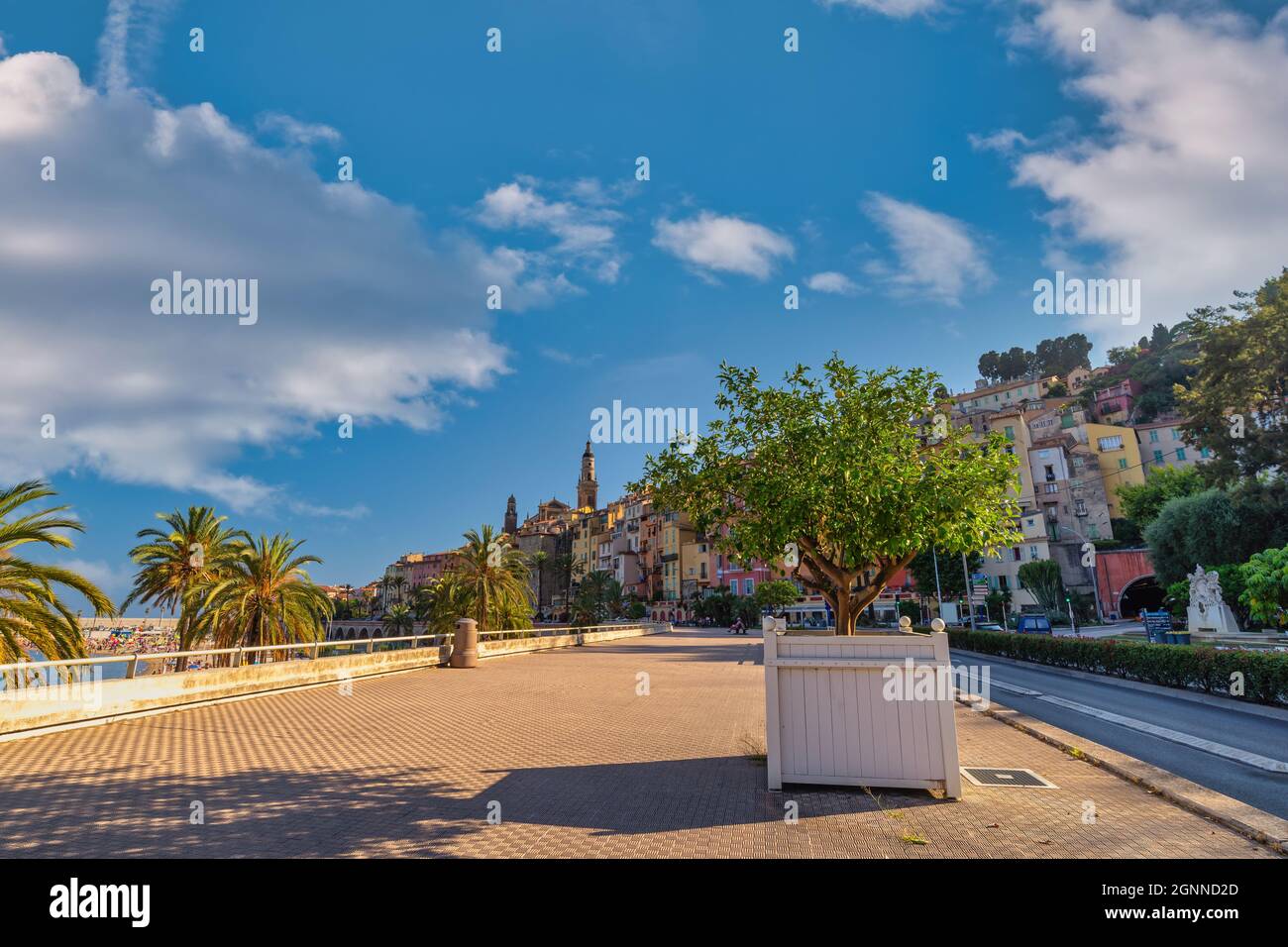 Menton France, city skyline and lemon tree the signature of Menton Stock Photo