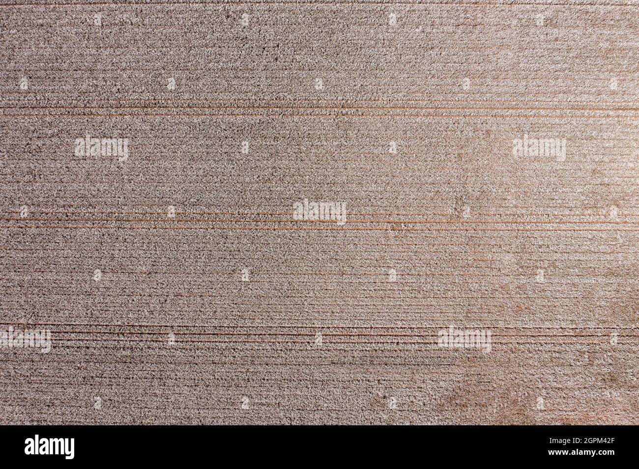 Mature Cotton field ready for picking, Aerial view. Stock Photo