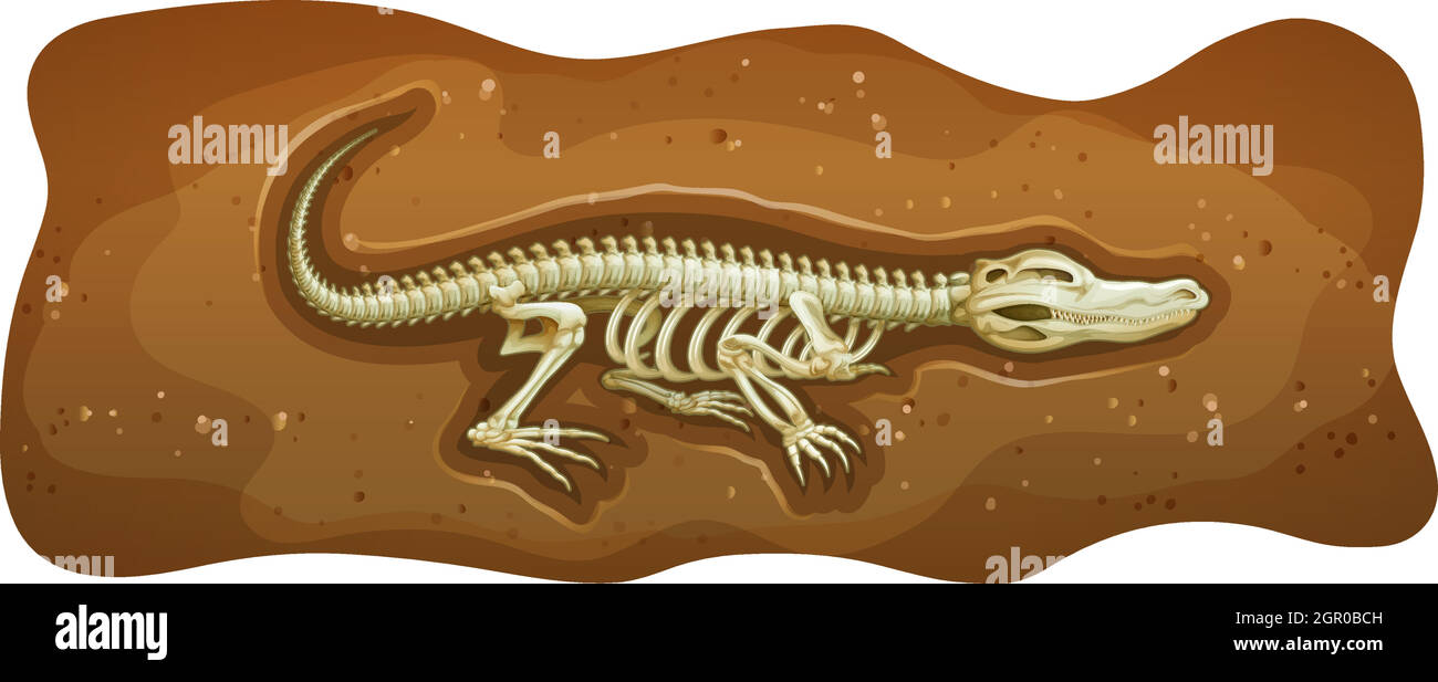 Fossil Stock Vector