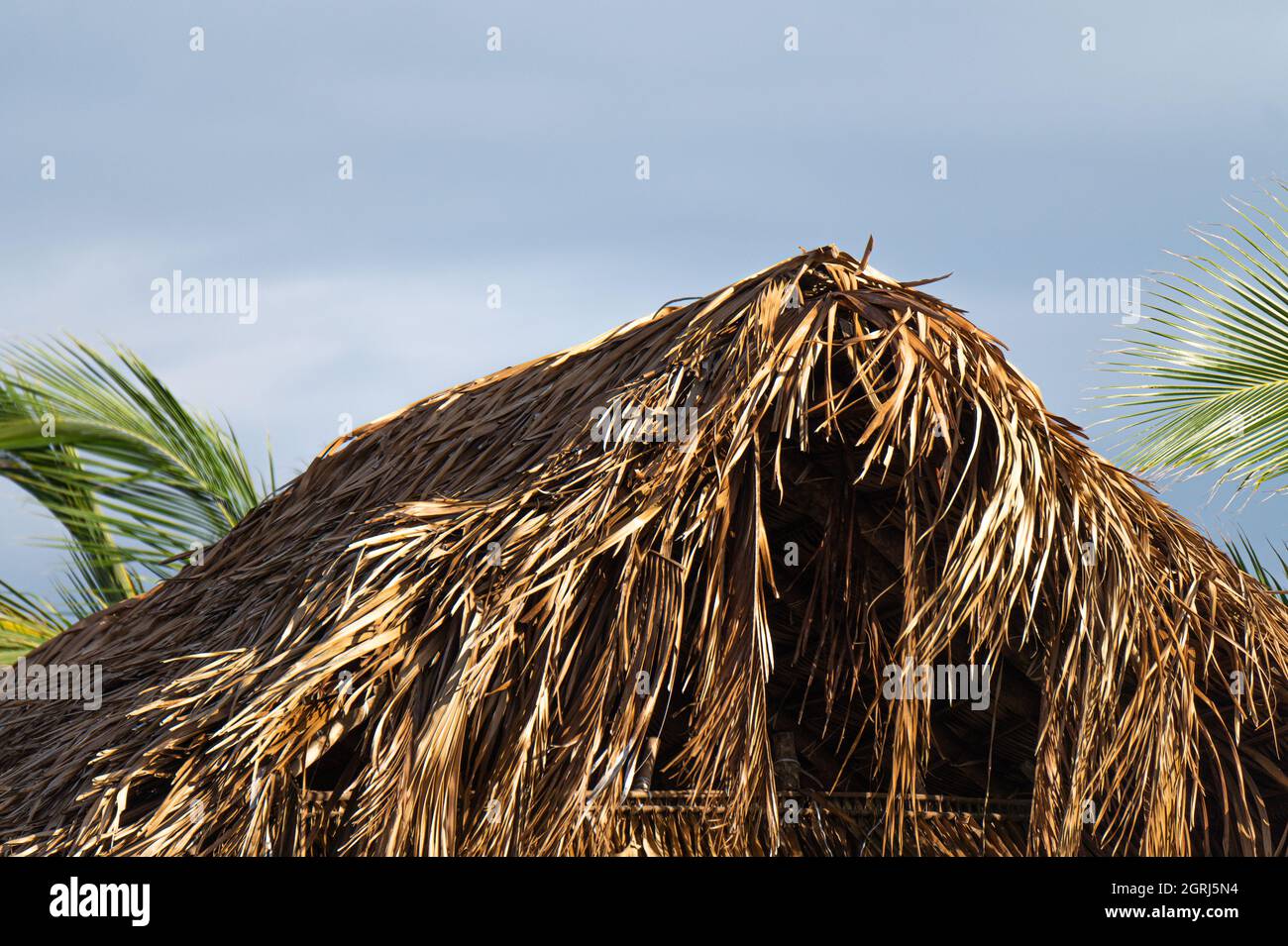 Roof of a straw hut on a beach Stock Photo