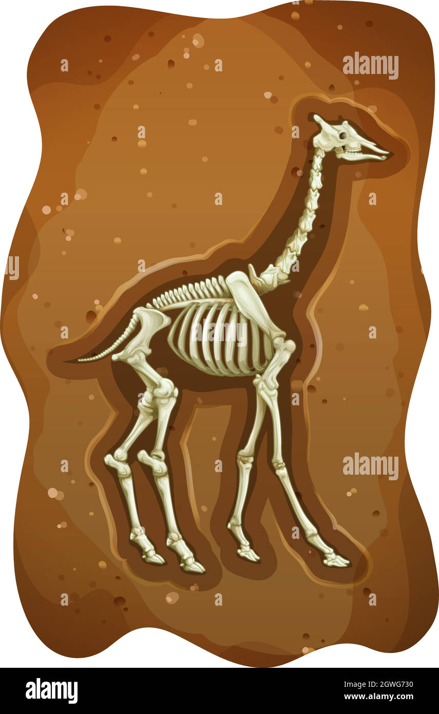 Fossil Stock Vector