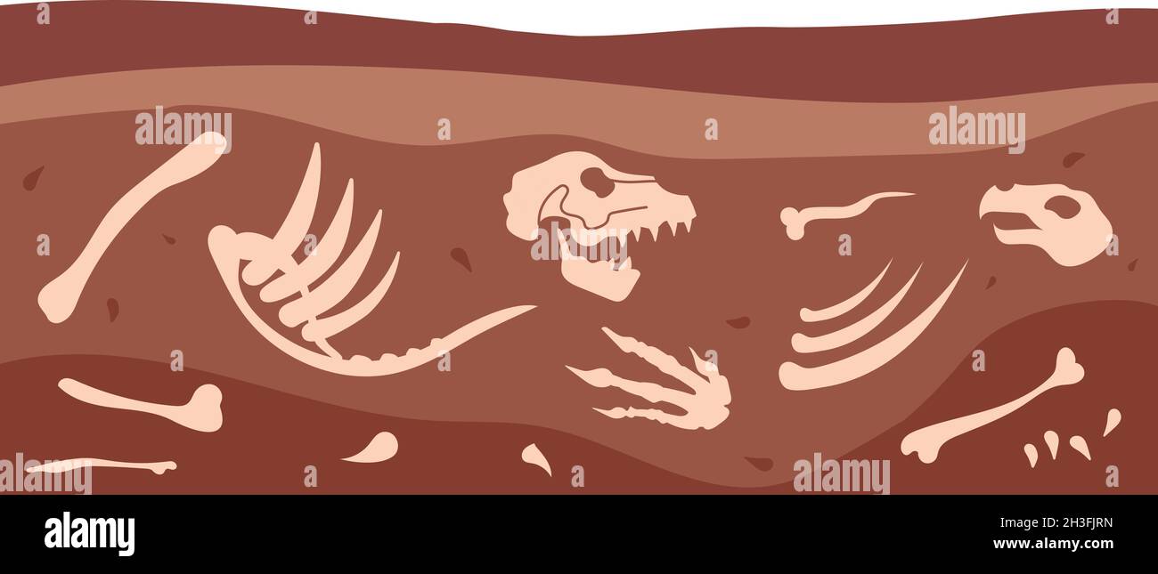 Archeology bones. Animal fossil, dirt ground layers with ancient dinosaur skull. Skeleton underground, paleontology utter vector illustration Stock Vector