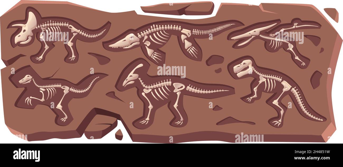 Buried skeleton. Dinosaur ancient reptile marine fossilized in rock old bones exact vector cartoon collection Stock Vector