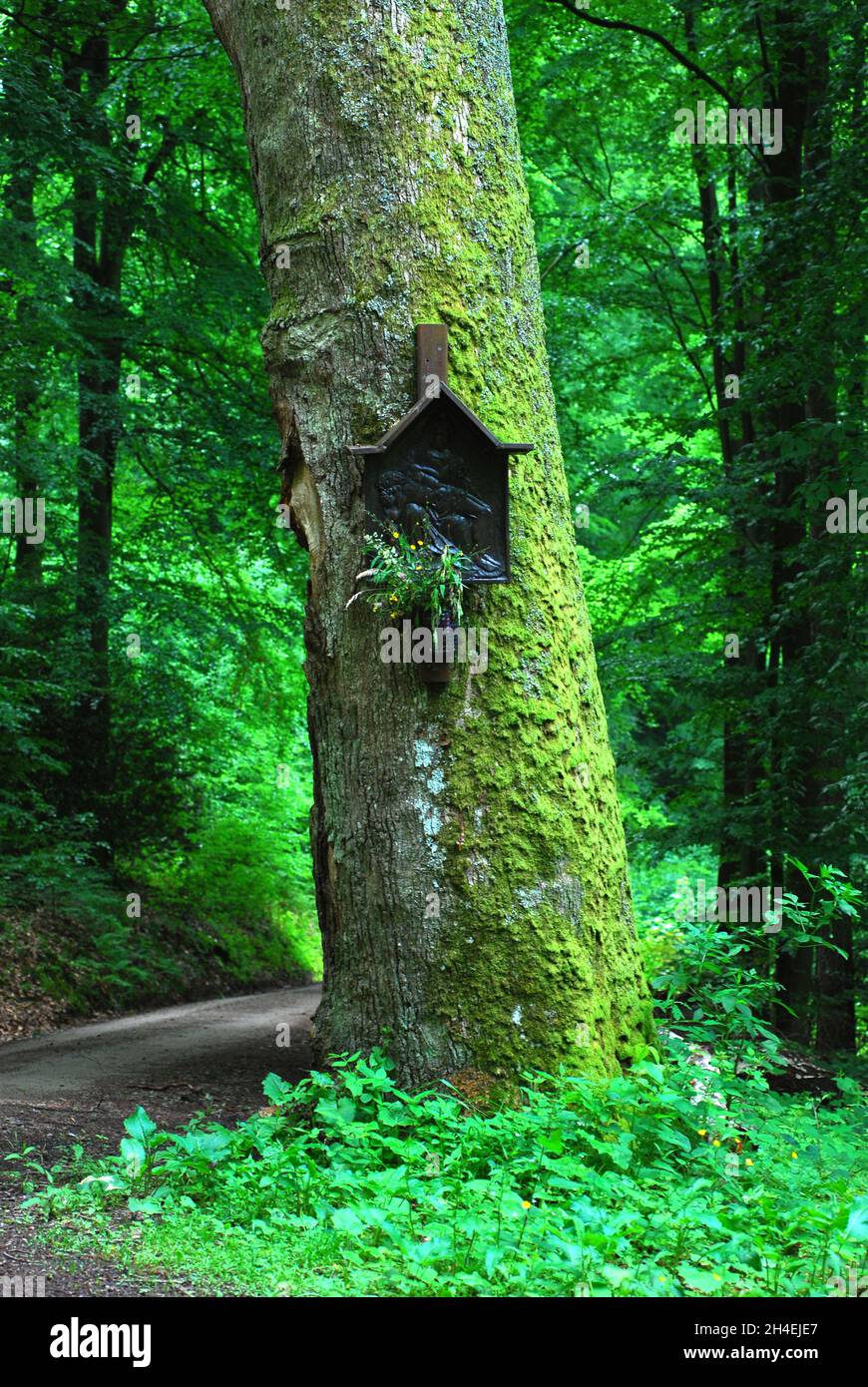 Picture of a saint in the forest. Baden Baden, Germany Stock Photo