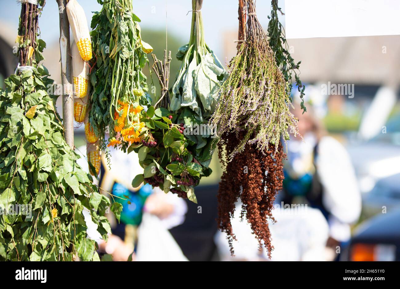 Brooms made of dried herbs and berries hang in the air. Stock Photo