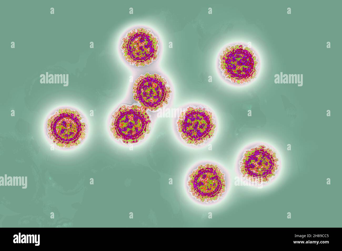 Coronavirus Stock Photo