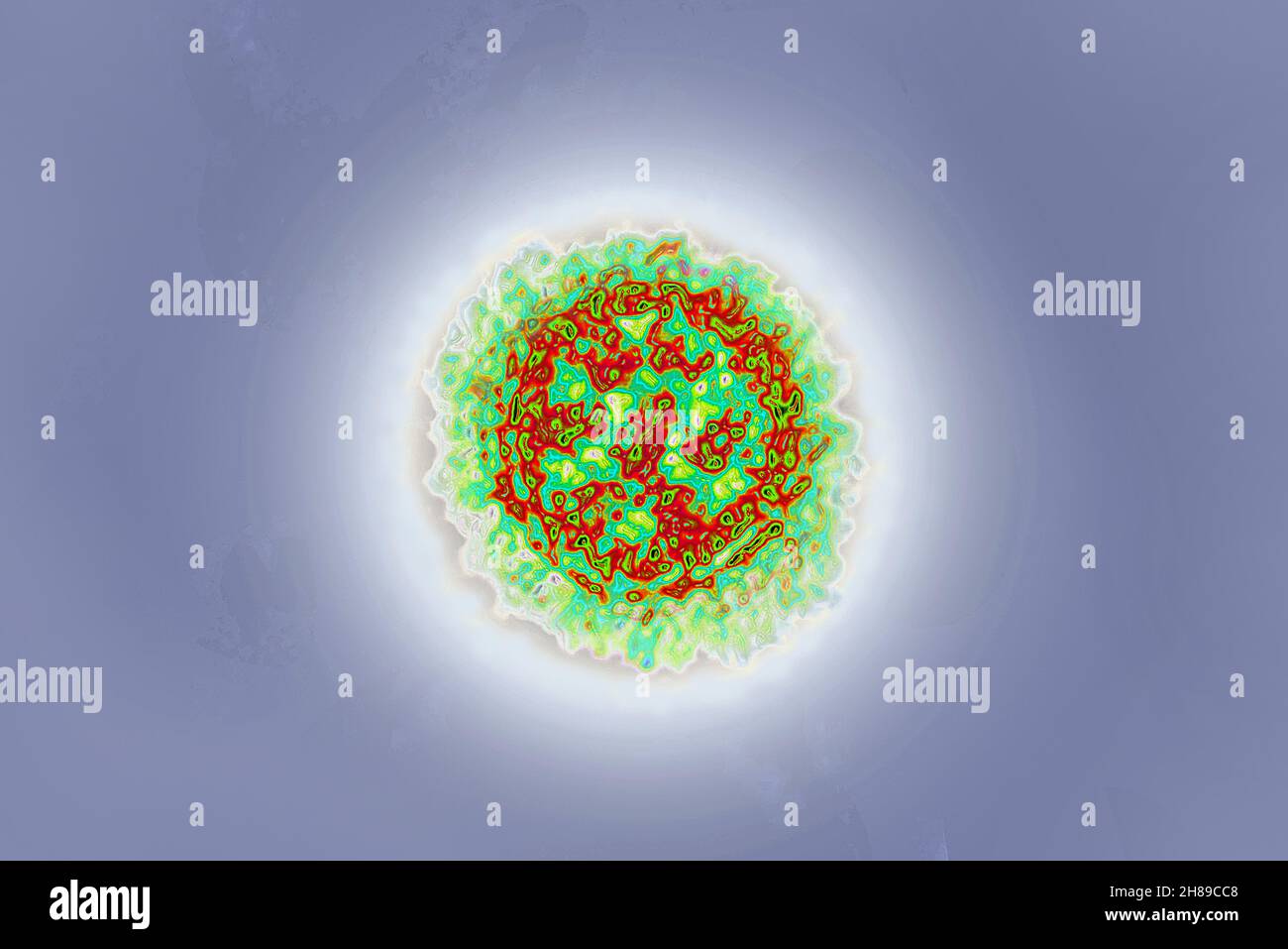 Coronavirus Stock Photo