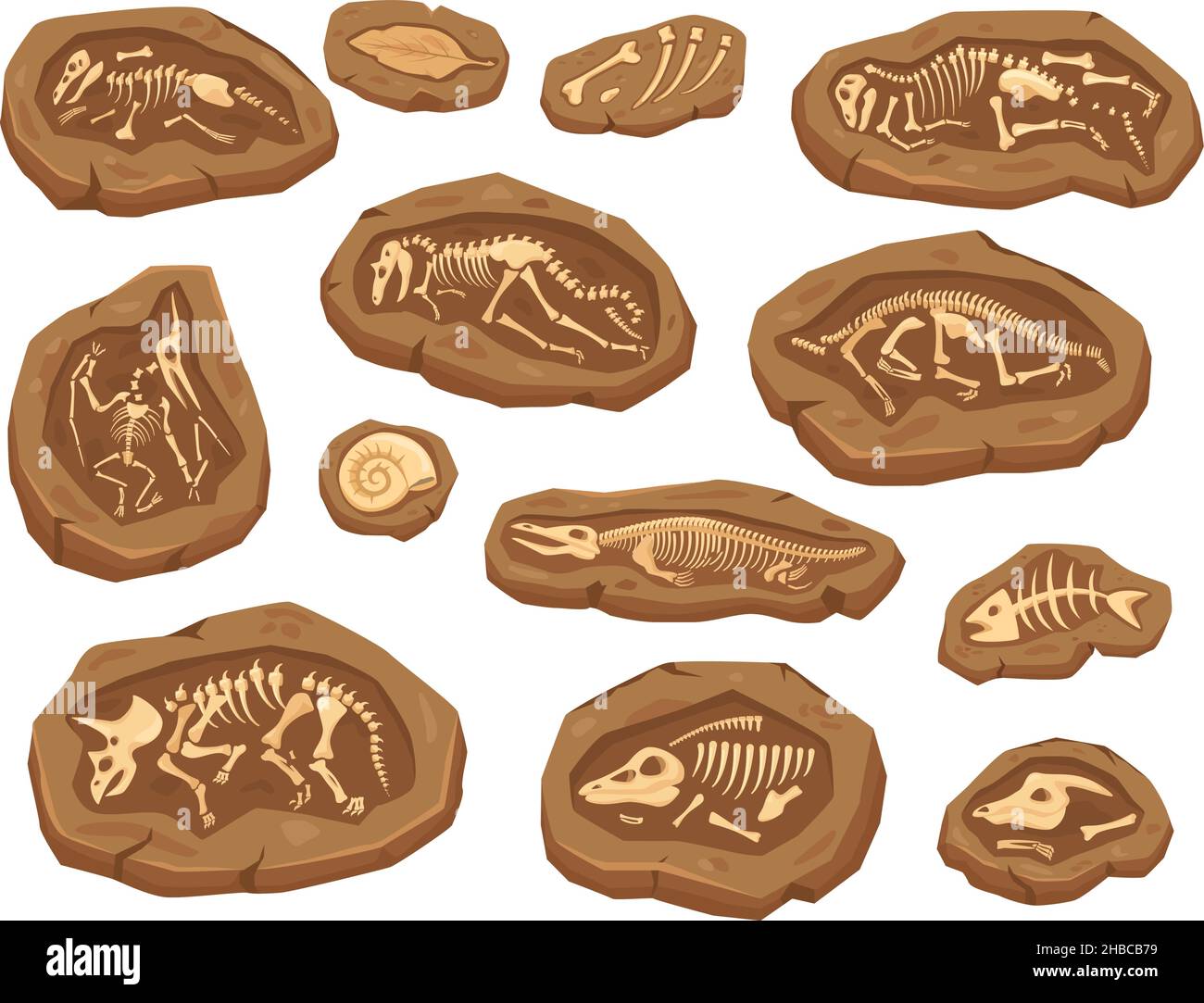 Cartoon dinosaurs fossils, ancient triceratops dinosaur skeleton. Ammonite and leaf fossil, paleontological excavation elements vector set. Large and small animal bones digging for museum Stock Vector