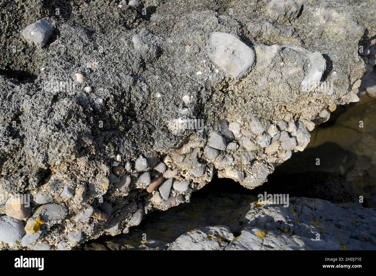 Raised Beach showing ancient higher sea levels where beach formed by concretion of rounded pebbles, sand breccia and shells Stock Photo