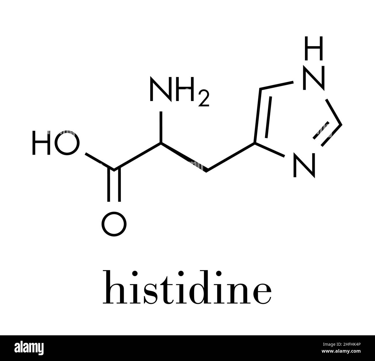 Histidine (l-histidine, his, H) amino acid molecule. Skeletal formula. Stock Vector