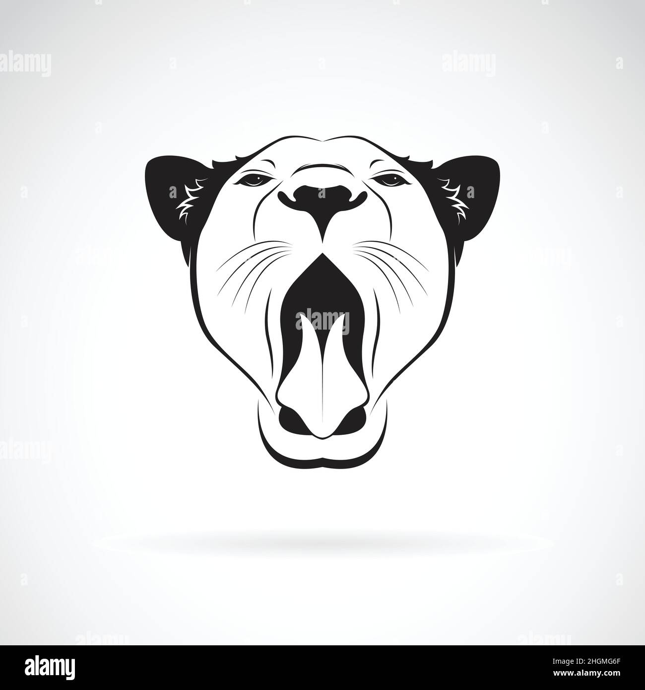 Vector of a female lion open mouth on white background. Wild Animals.  Easy editable layered vector illustration. Stock Vector