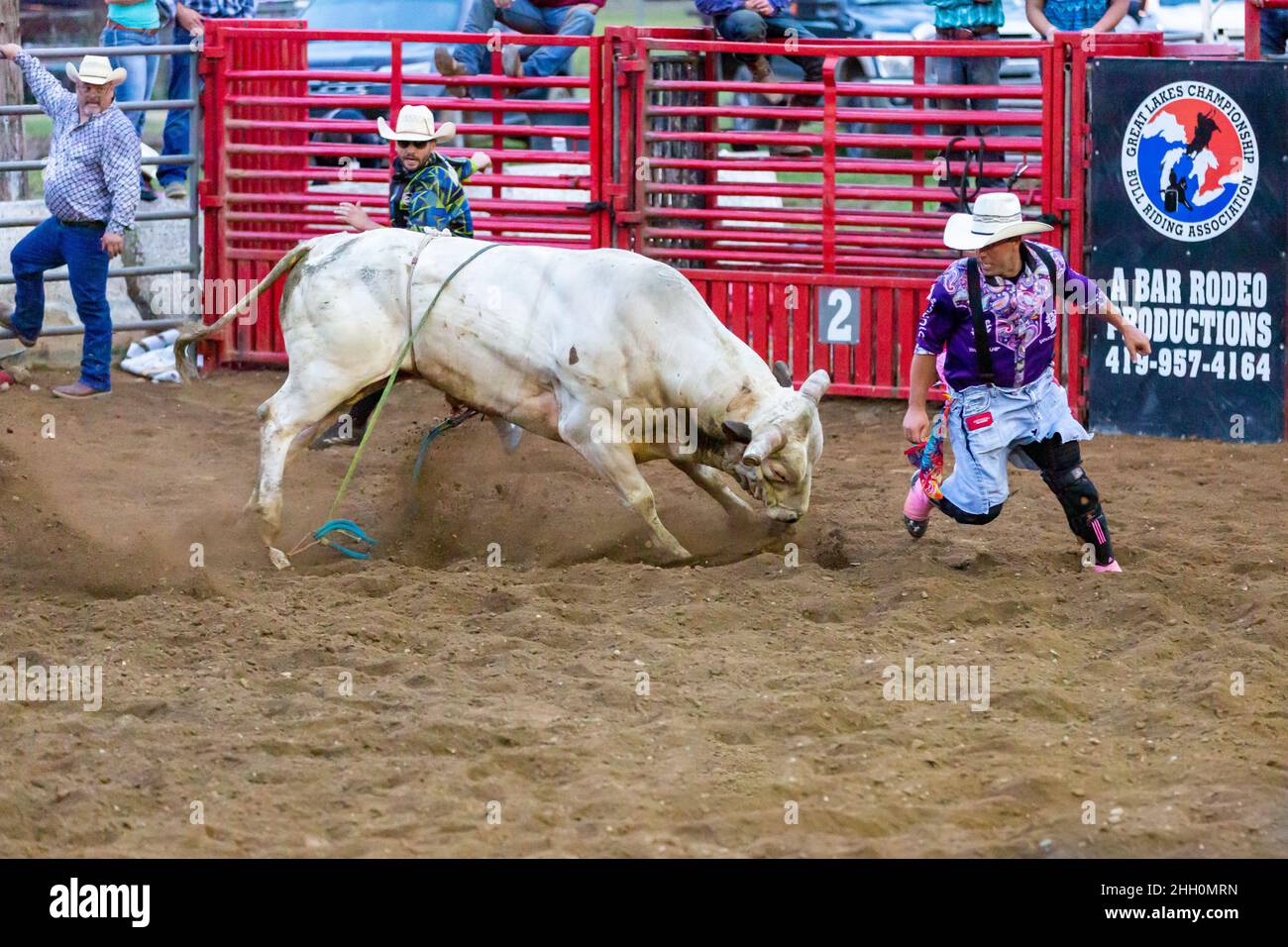 Rodeo bullfighters attempt to distract an angry bull at an A Bar Rodeo Production at the Noble County Fairgrounds in Kendallville, Indiana, USA. Stock Photo