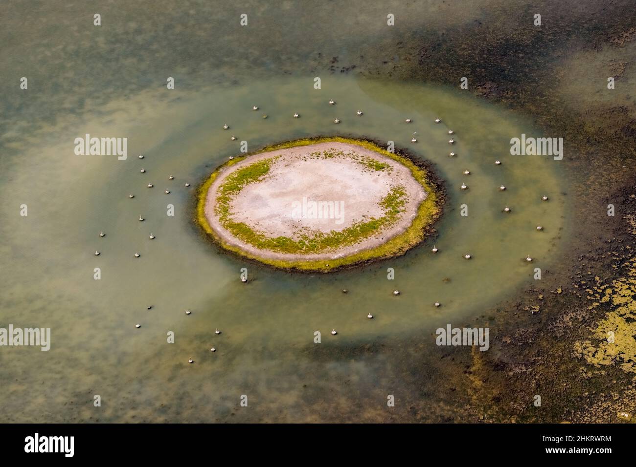 Aerial view, Llacuna de sa Barcassa, island with birds-eyes view and water feature, Alcúdia, Mallorca, Balearic Islands, Spain, ES, Europe, aerial pho Stock Photo