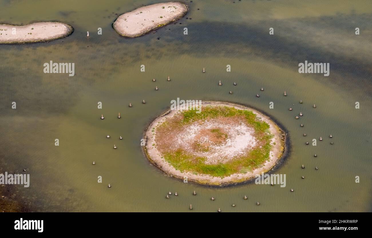 Aerial view, Llacuna de sa Barcassa, island with birds-eyes view and water feature, Alcúdia, Mallorca, Balearic Islands, Spain, ES, Europe, aerial pho Stock Photo