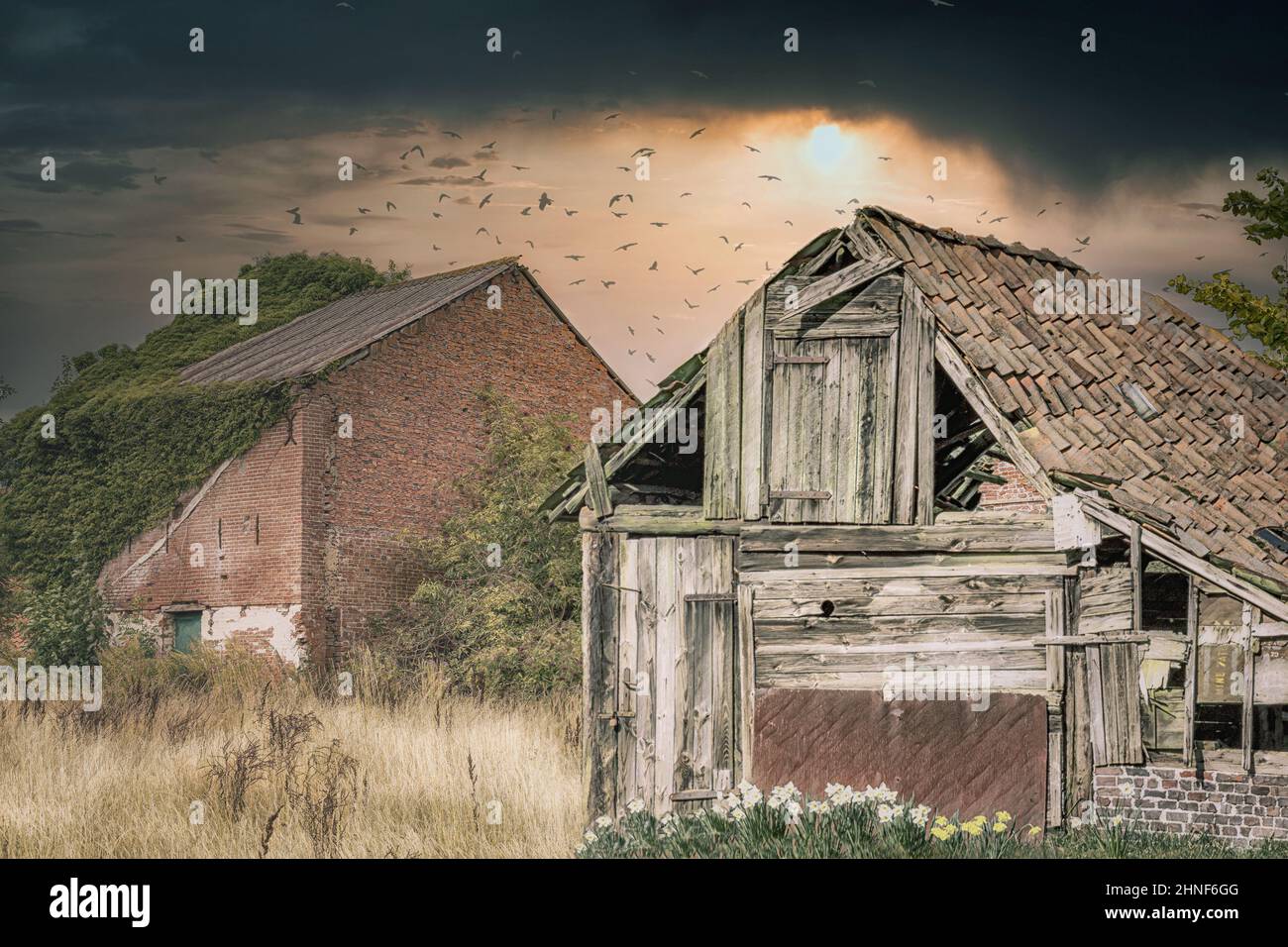 a derelict shack Stock Photo