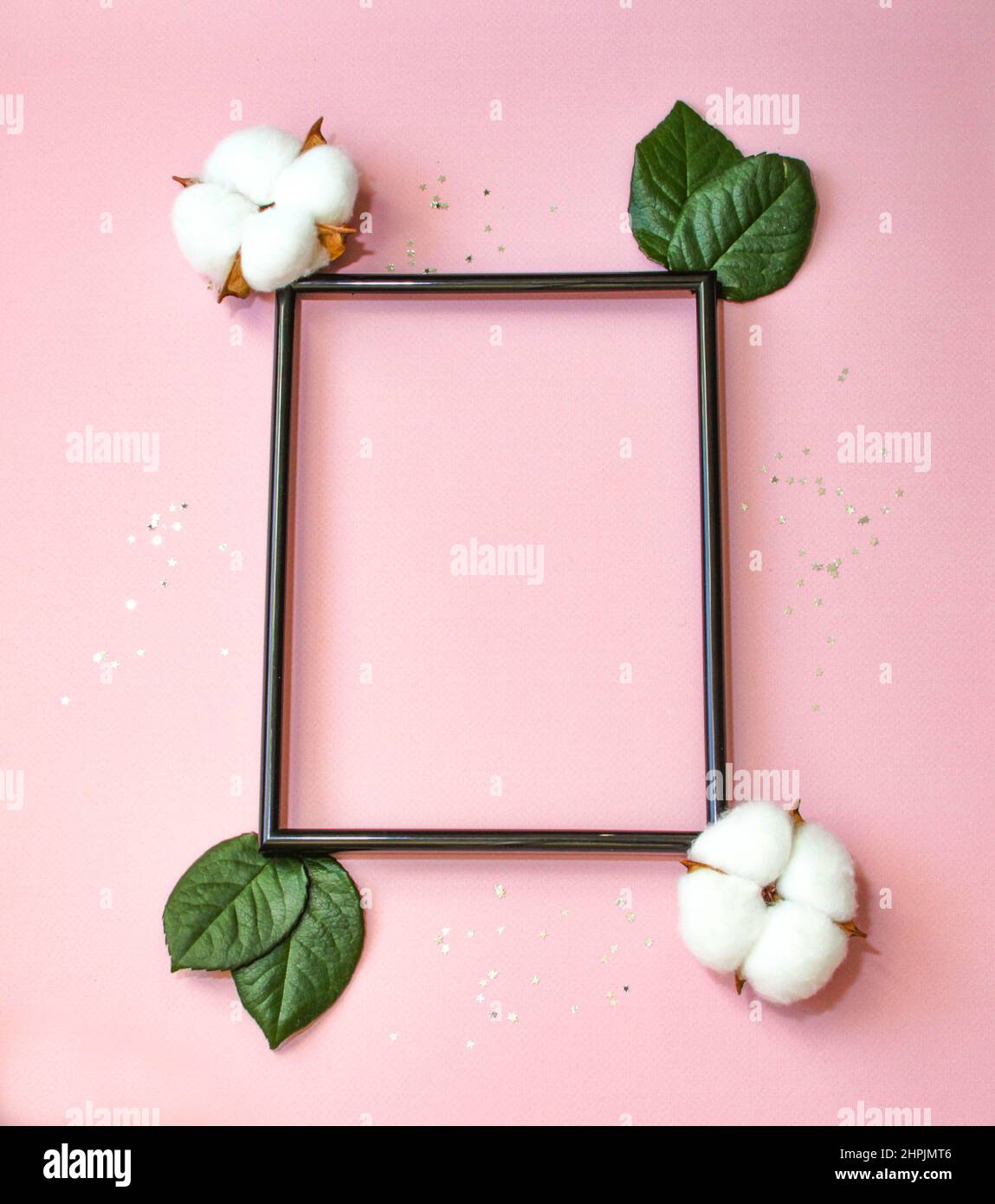 Summer modern composition. Black photo frame, green leaves and flower cotton of tree on pastel pink background. Flat lay, top view, copy space Stock Photo