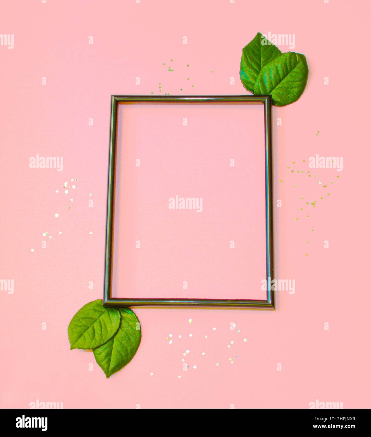 Summer modern composition. Black frame, green leaves on pastel pink background. Flat lay, top view, copy space Stock Photo