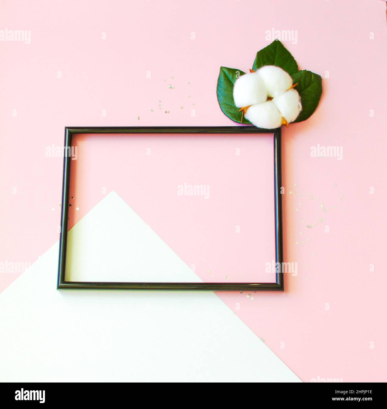 Summer modern composition. Black photo frame, green leaves and flower cotton of tree on pastel pink background. Flat lay, top view, copy space Stock Photo