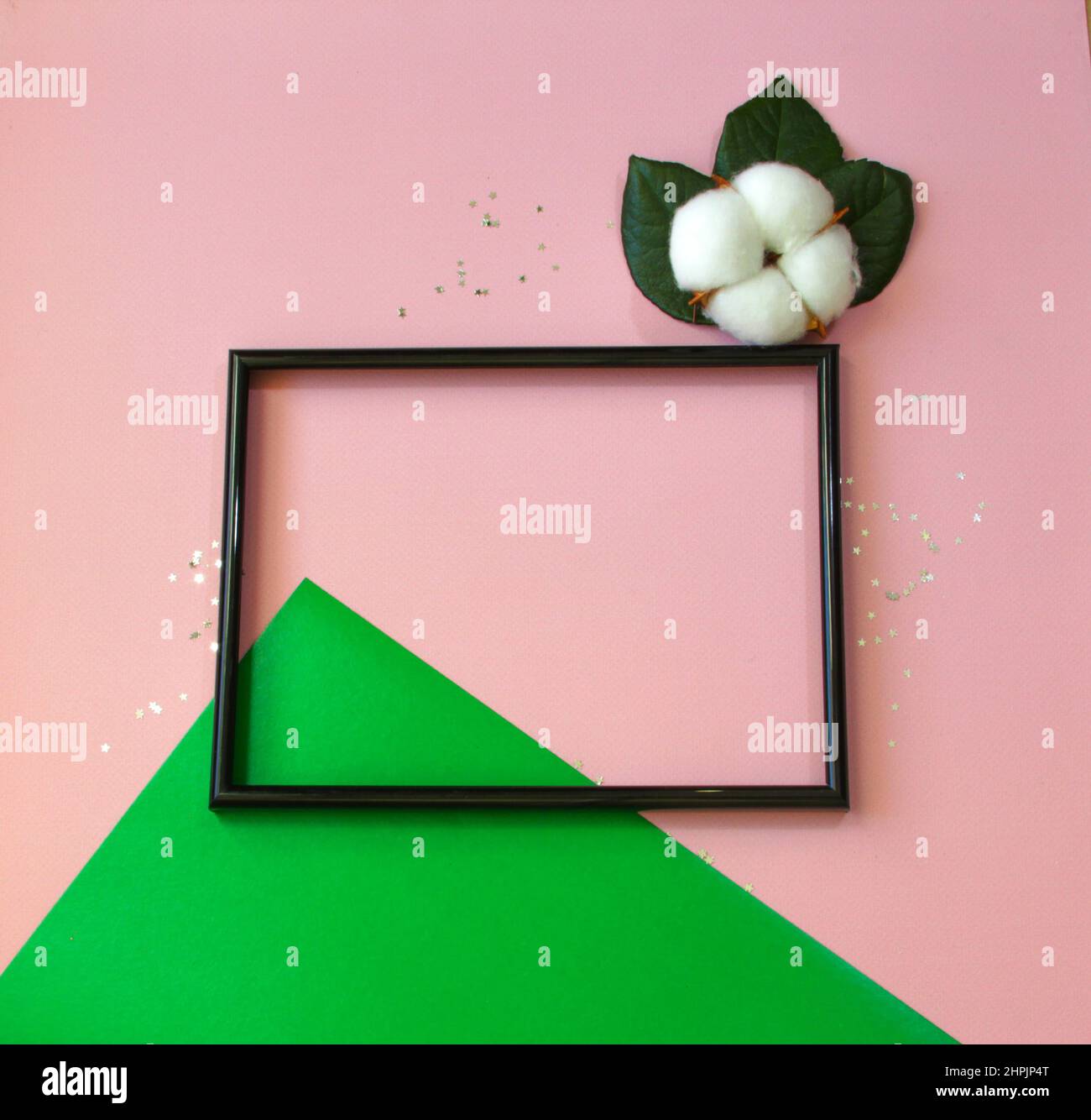 Summer modern composition. Black photo frame, green leaves and flower cotton of tree on pastel pink background. Flat lay, top view, copy space Stock Photo