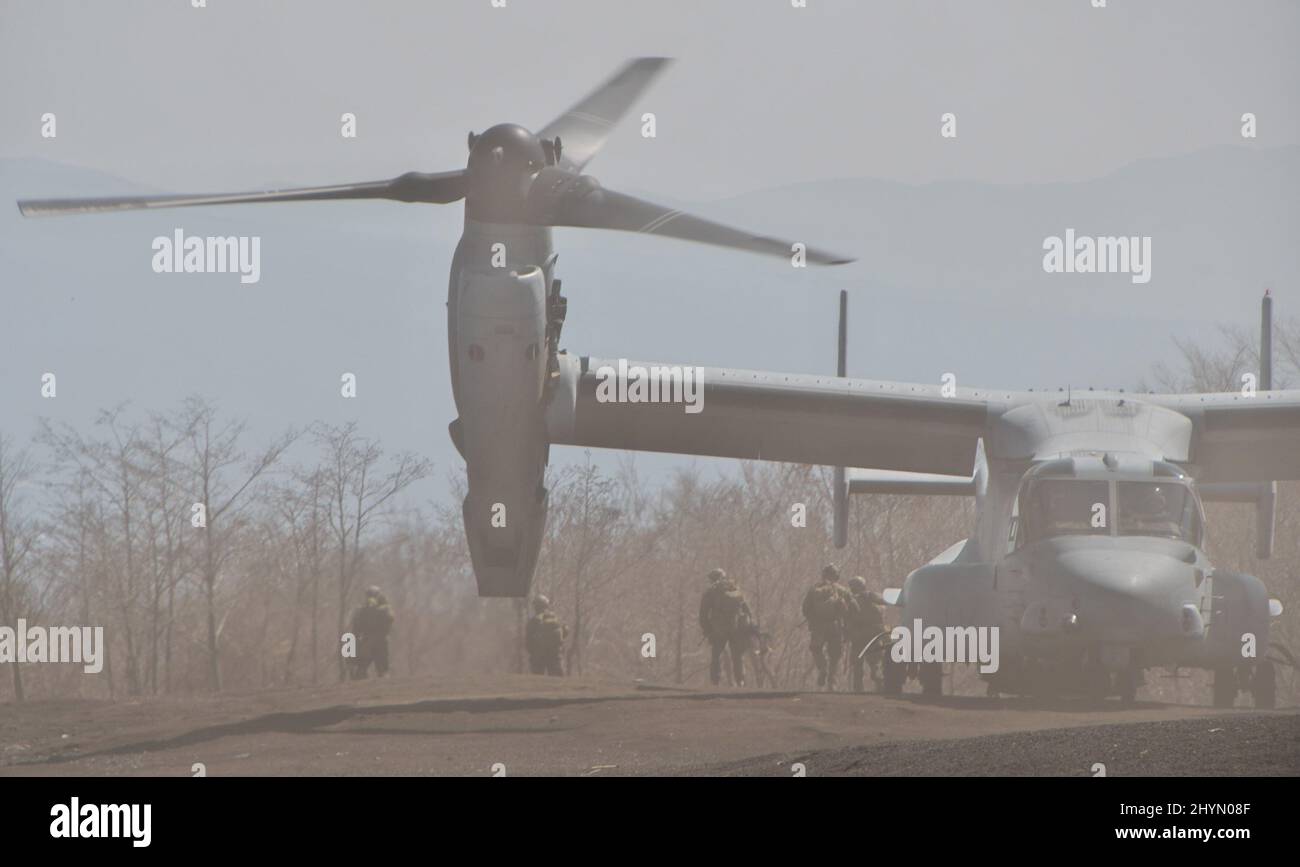 Gotemba, Japan. 15th Mar, 2022. U.S. Marines' MV-22 Osprey participate during a joint military exercise with Japan Ground Self-Defense Force at Camp Fuji in Shizuoka-Prefecture, Japan on Tuesday, March 15, 2022. Photo by Keizo Mori/UPI Credit: UPI/Alamy Live News Stock Photo