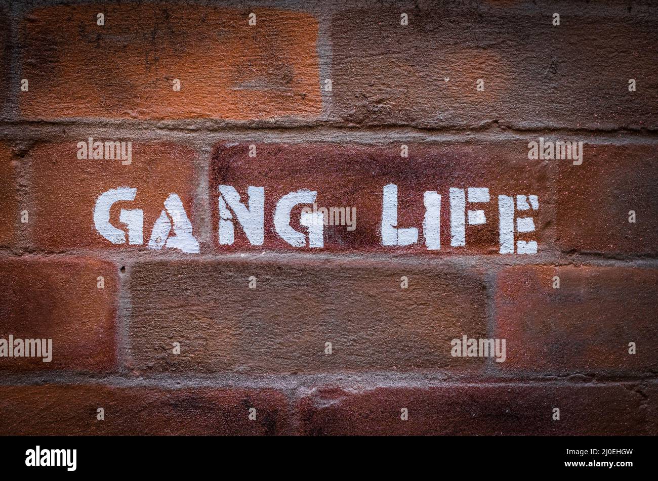 Gang Life Graffiti Stock Photo