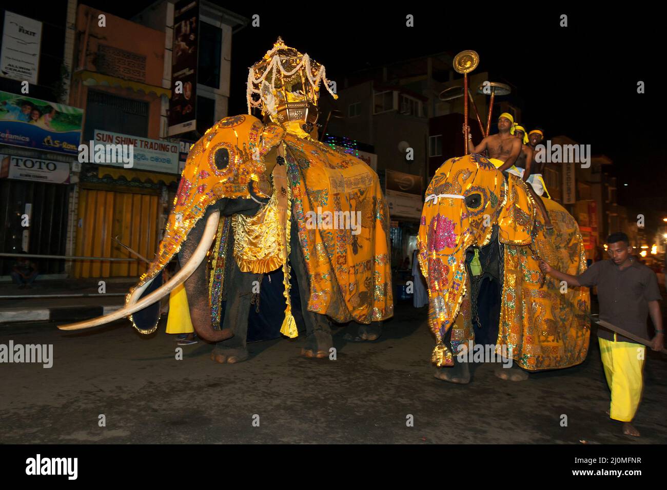 Ceremonial elephants dressed in yellow cloaks parade along Colombo Street at Kandy in Sri Lanka during the Buddhist Esala Perahera (great procession). Stock Photo