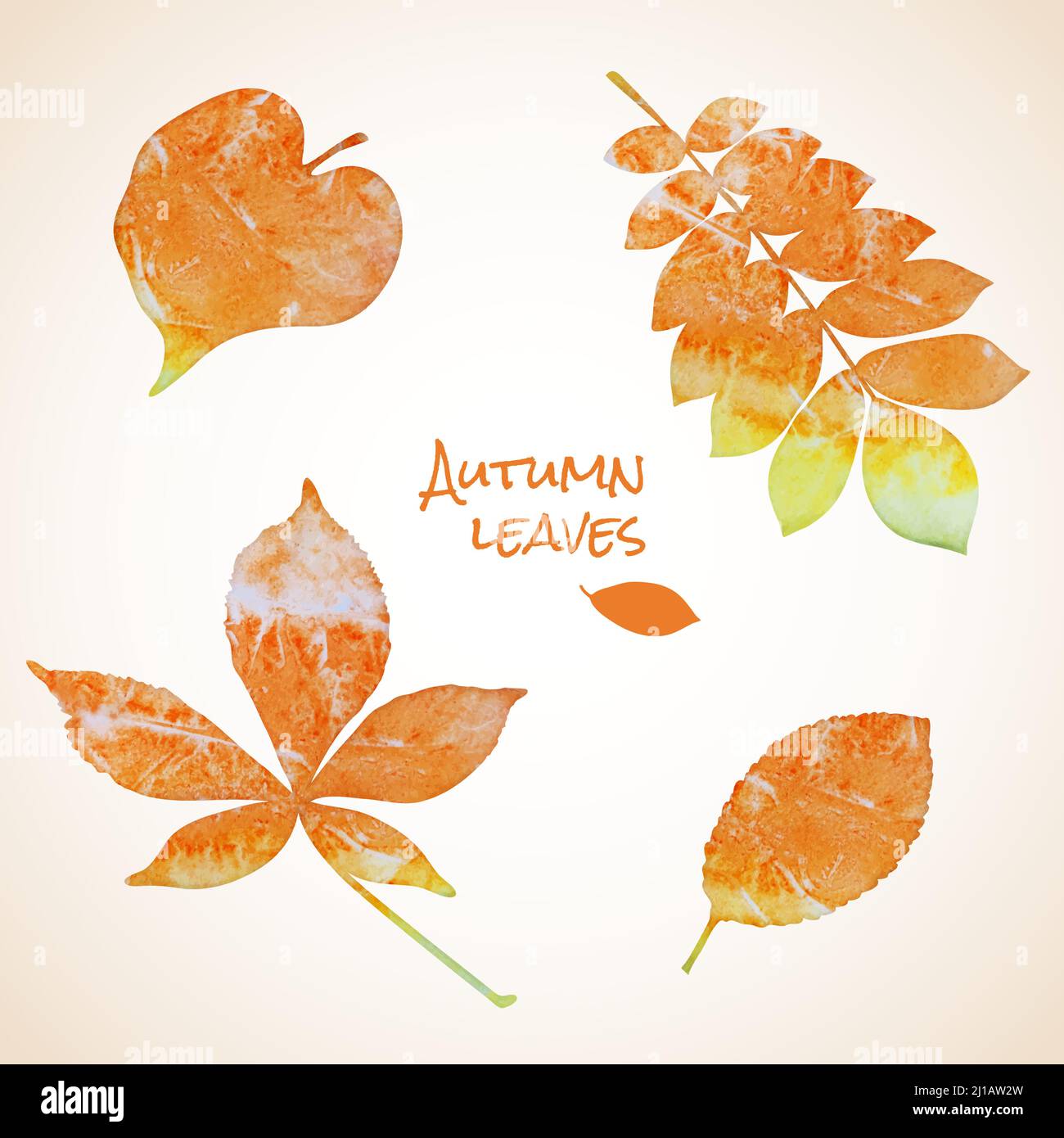 Colorful set of watercolor grunge leaves silhouettes Stock Vector