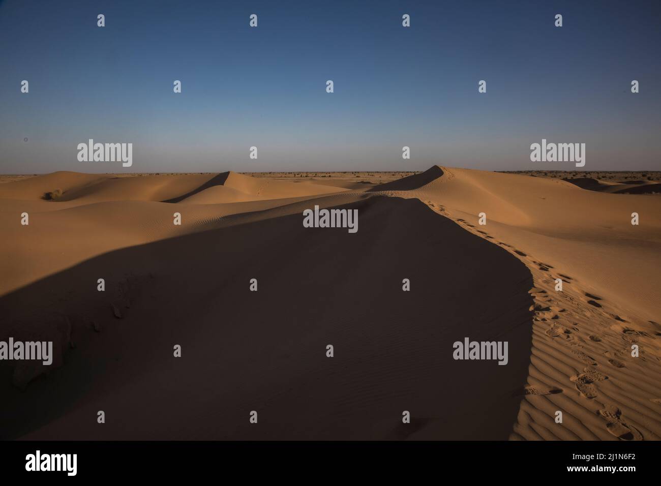 Desert, Sand Dunes, Sam Desert, Thar Desert, Jaisalmer, Rajasthan, India Stock Photo