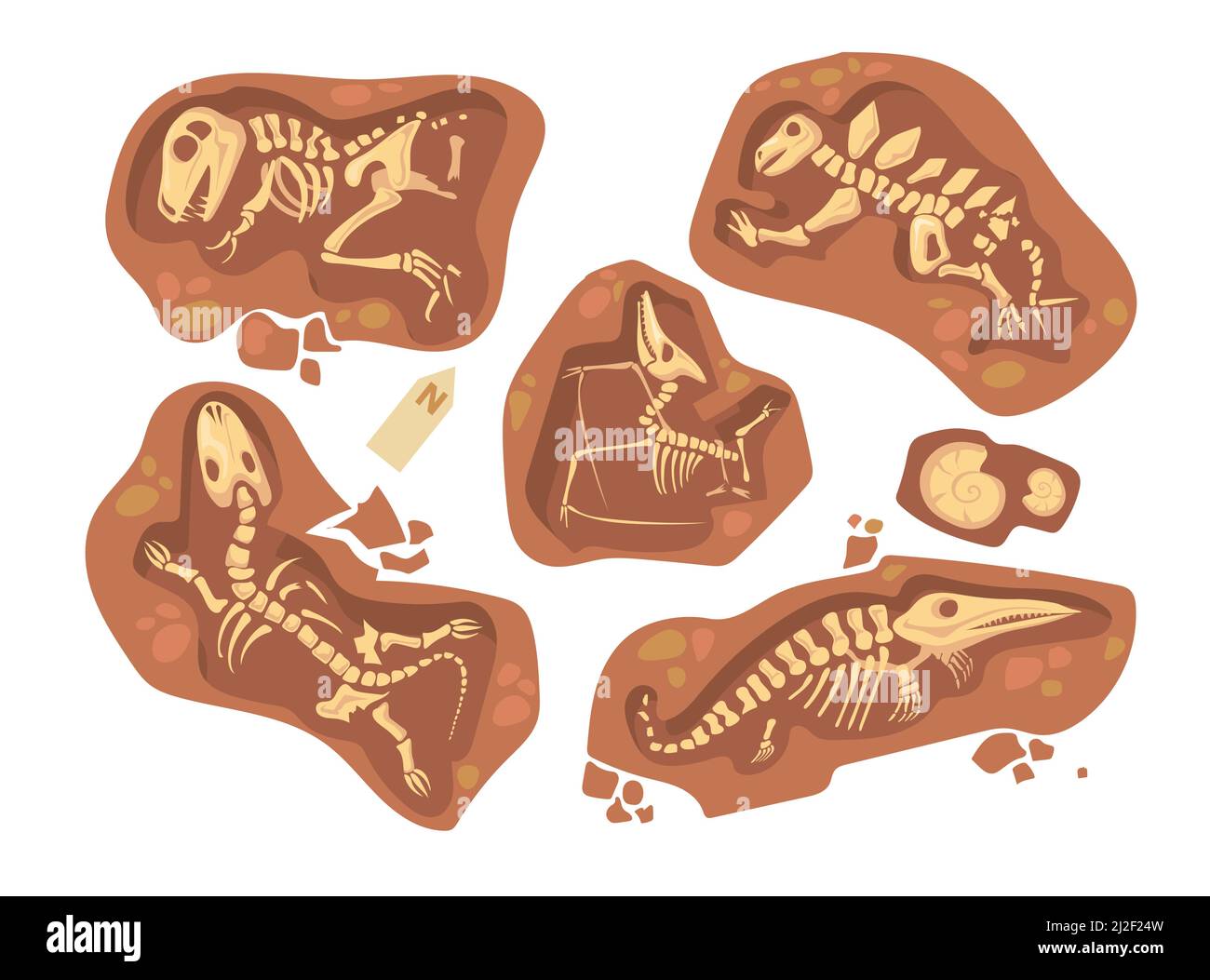 Cartoon set of different dinosaur fossils. Flat vector illustration. Collection of prehistoric reptile skeletons and bones lying underground. Paleonto Stock Vector