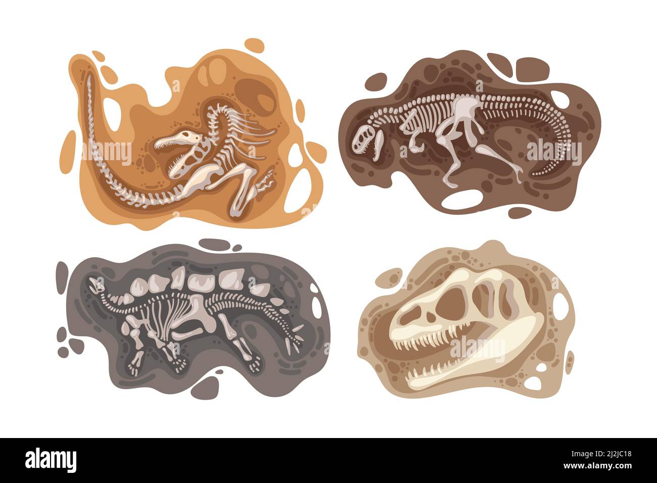 Dinosaur fossils vector illustrations set. Bones or skeletons of prehistoric reptiles found underground during excavations isolated on white backgroun Stock Vector