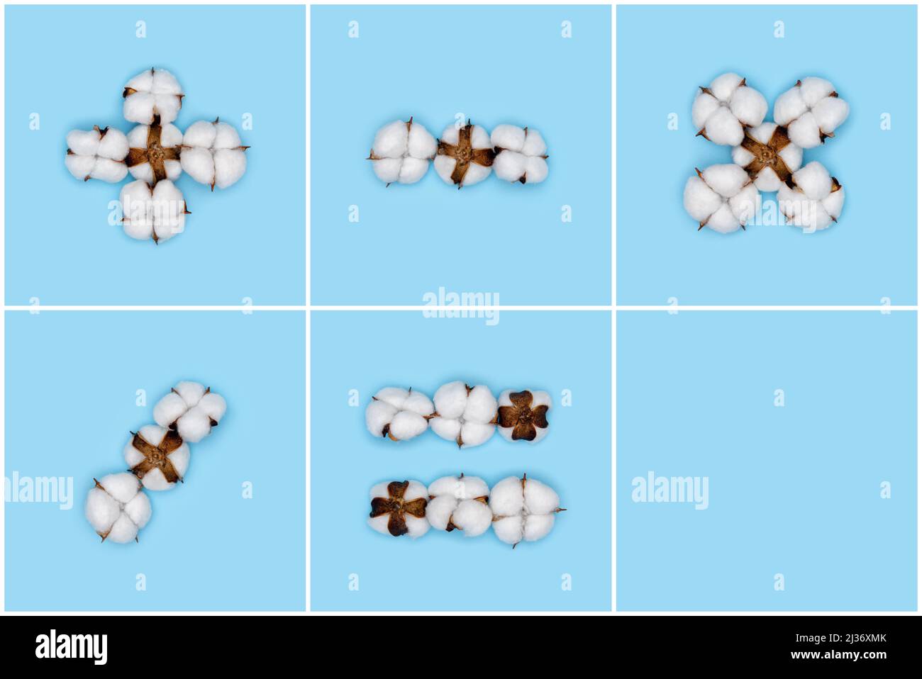 Kit of basic math signs made of cotton flowers and isolated on solid blue background. Floral alphabet and numbers concept. Part of the set of cotton f Stock Photo