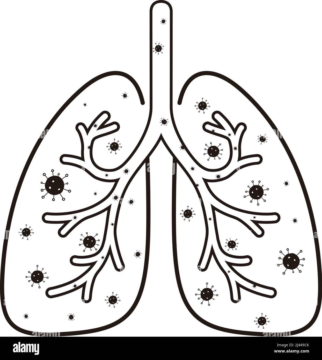 Lungs diagram hi-res stock photography and images - Alamy