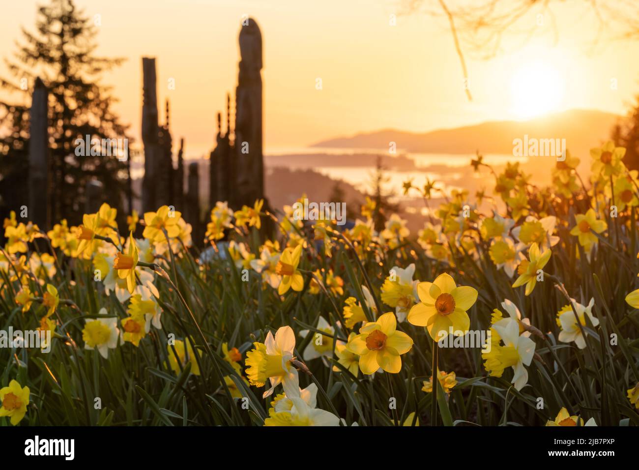 Kushiro park in sunset time. Burnaby, BC, Canada. Stock Photo