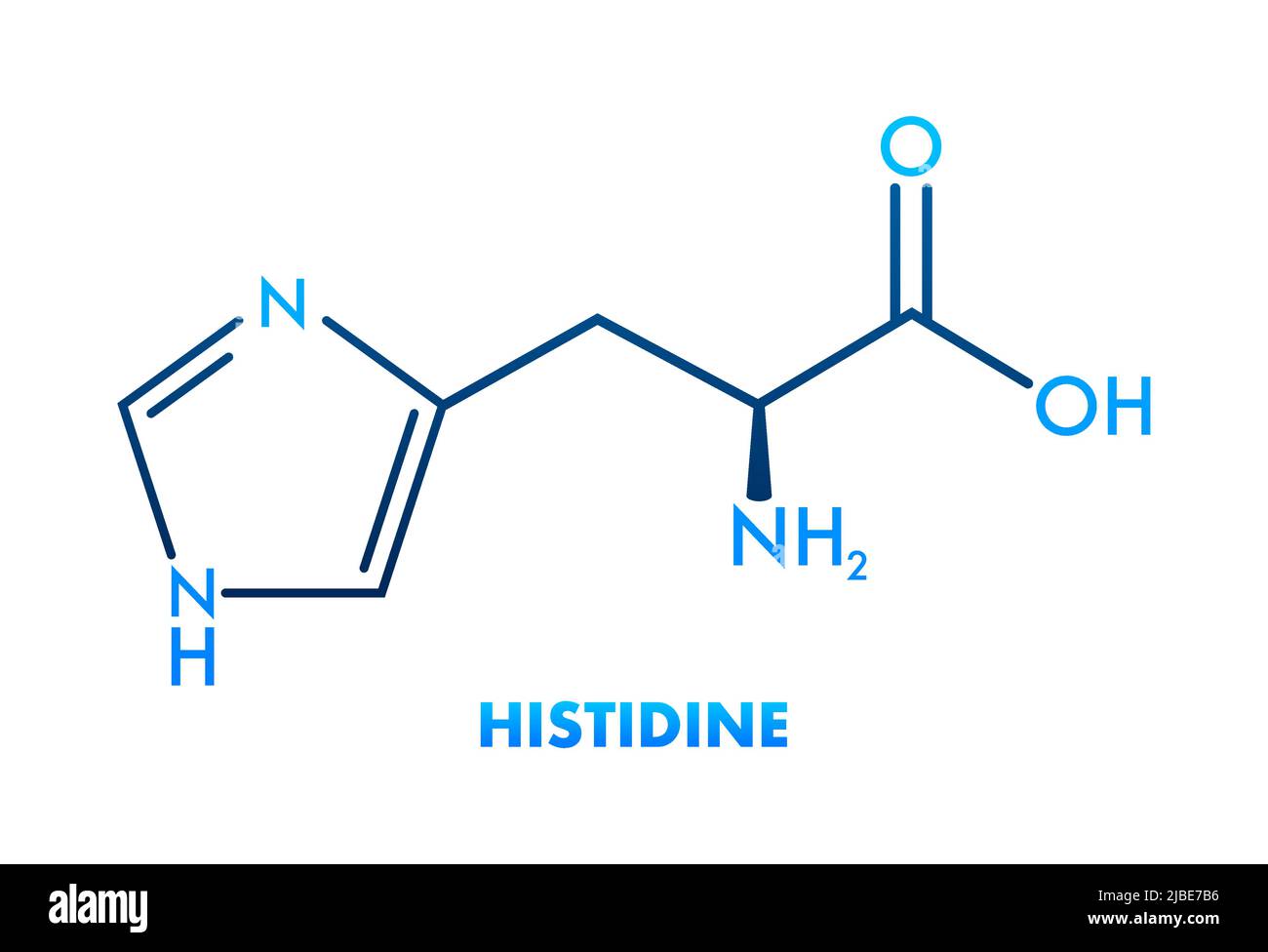 Histidine l-histidine, his, H amino acid molecule. Vector illustration Stock Vector