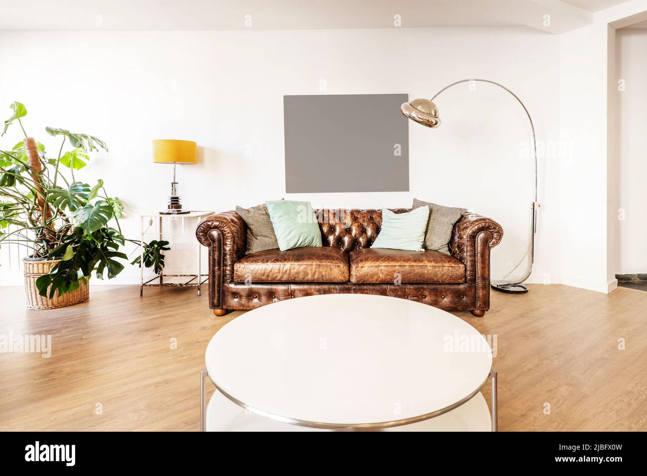 Living room with round white side table, brown leather chesterfield sofa and large adam rib plant Stock Photo