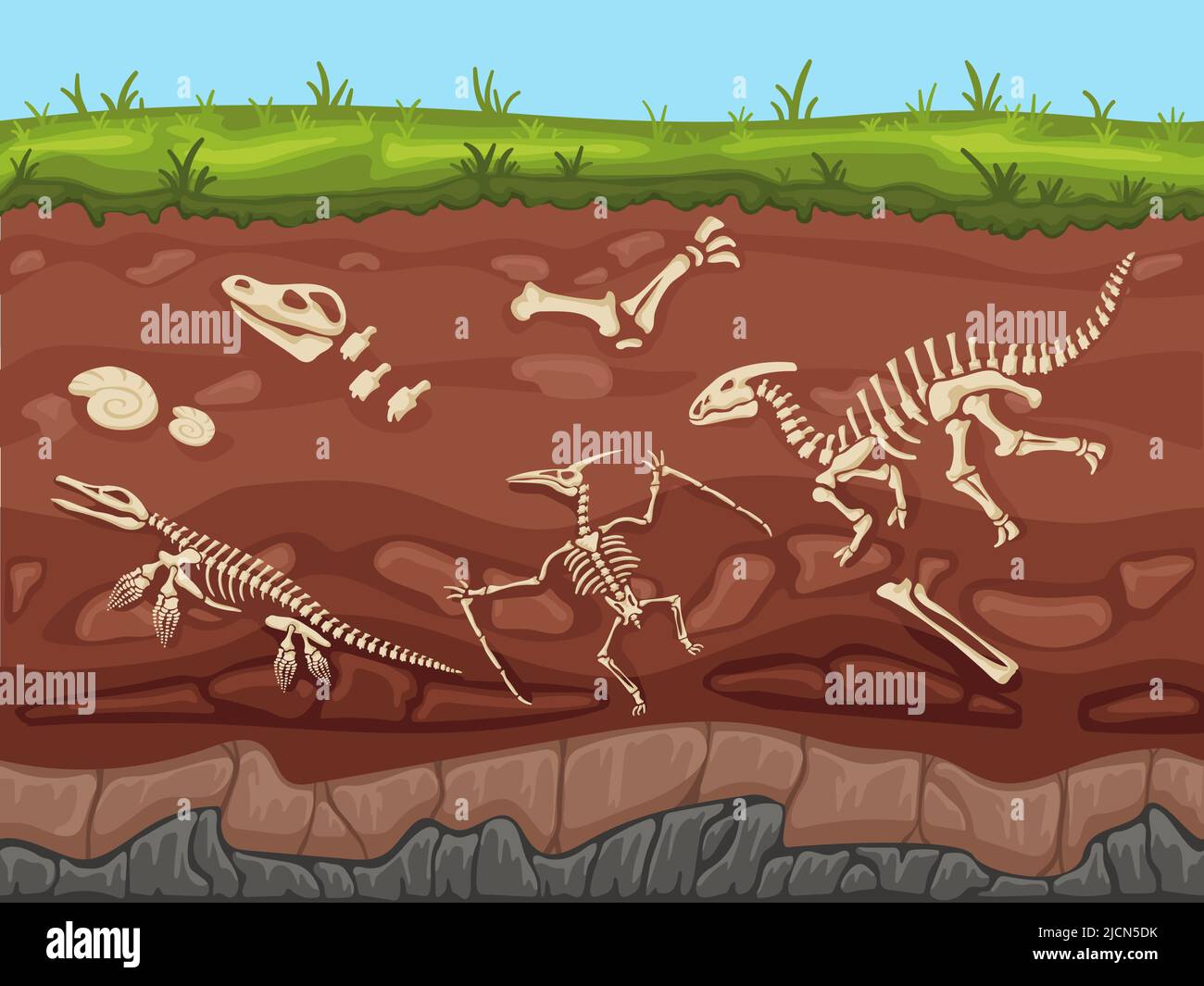 Soil layers with fossils. Ground layers with dinosaur bones and fossil skeletons, paleontology excavations cartoon vector illustration Stock Vector