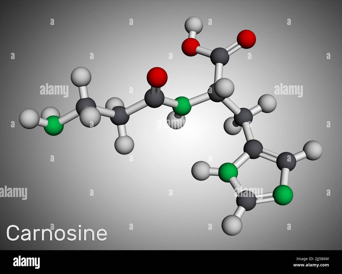 Carnosine dipeptide molecule. It is anticonvulsant, antioxidant, antineoplastic agent, human metabolite. Molecular model. 3D rendering Stock Photo