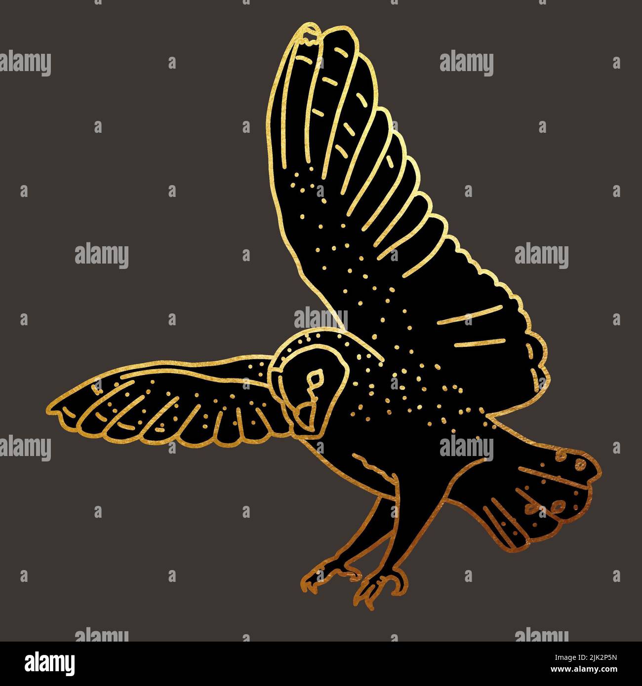 illustration of a barn owl. A flying bird. graphic illustration with golden lines on a dark background Stock Photo