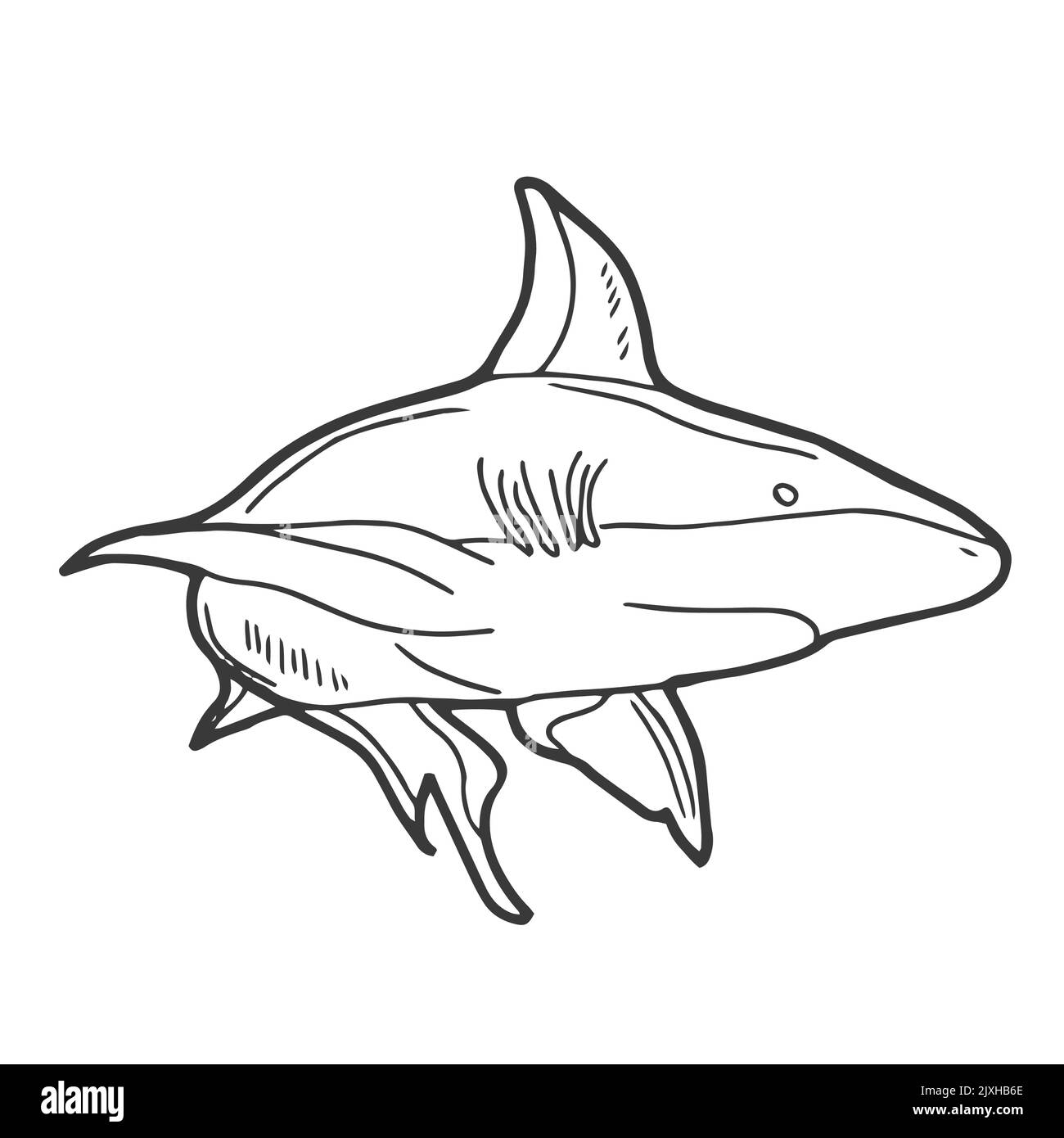 Doodle Shark Icon. Line art Stock Vector