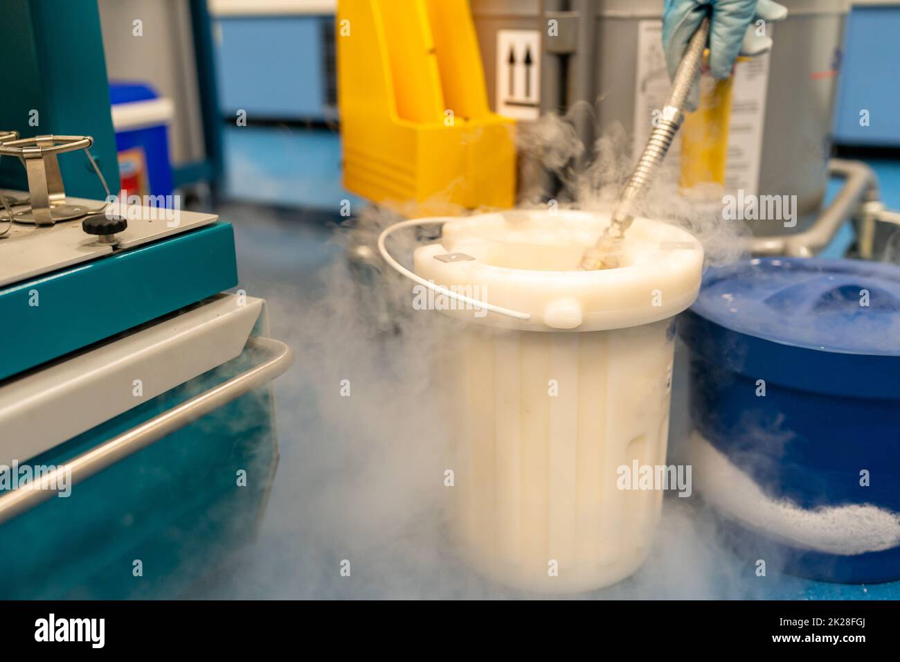 experiments in a laboratory with liquid nitrogen Stock Photo