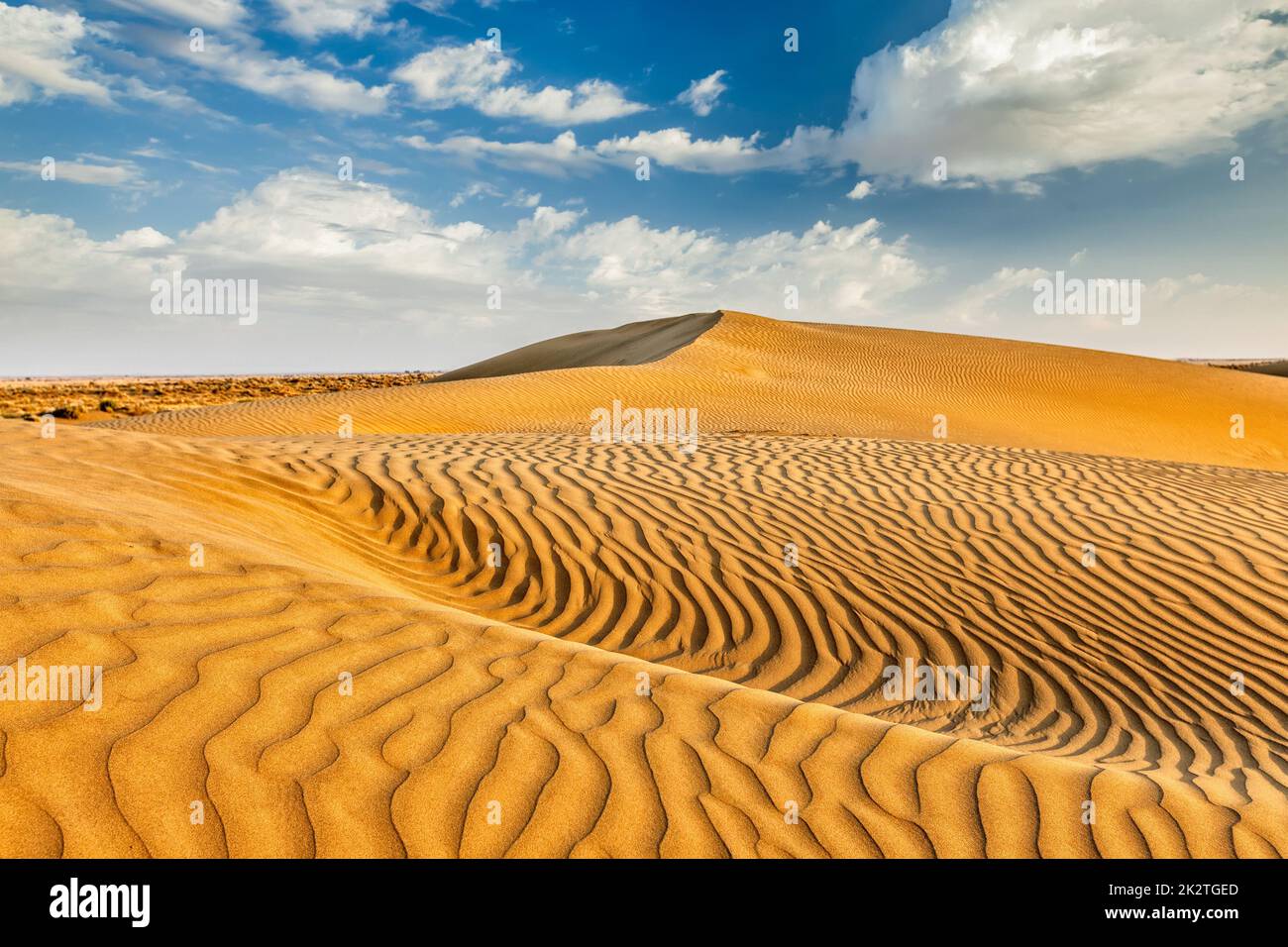 Sand dunes in desert Stock Photo