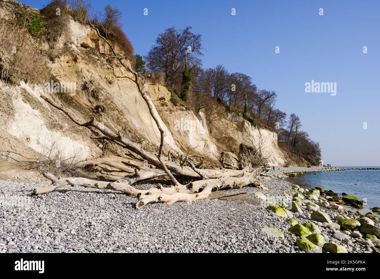 Ostseeinsel Rügen Sassnitz steinige Felsküste mit Kreidefelsen auf dem Weg zur Stubbenkammer Stock Photo