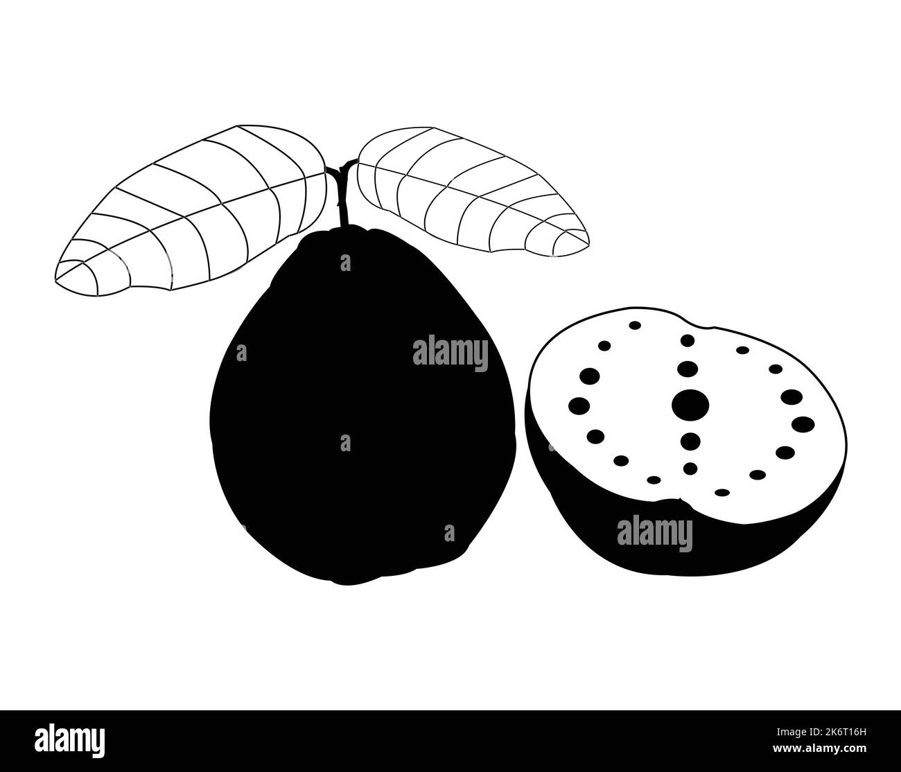 Guava Clip Art Black And White