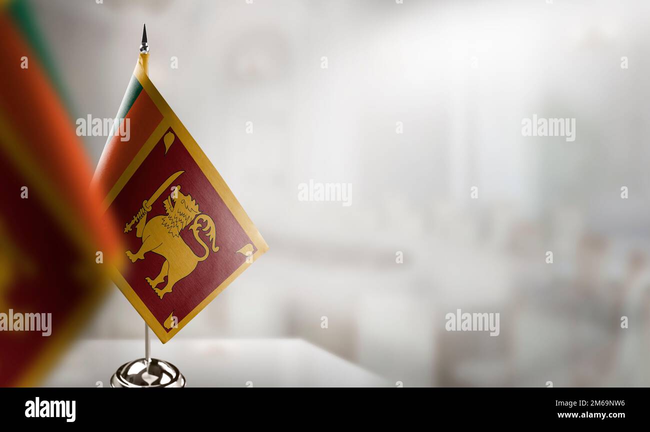 Small flags of the Sri Lanka on an abstract blurry background. Stock Photo