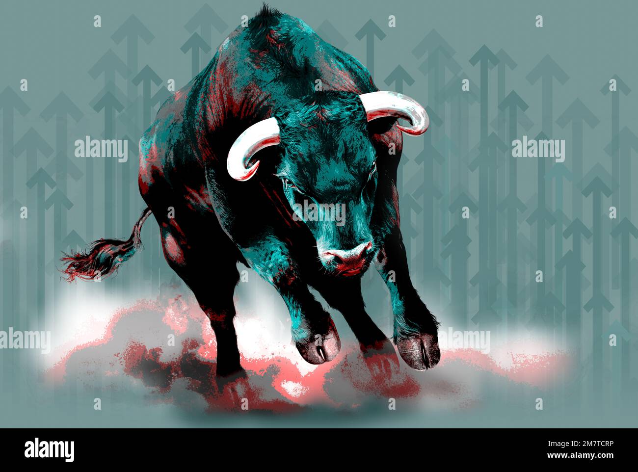 bull market Stock Photo