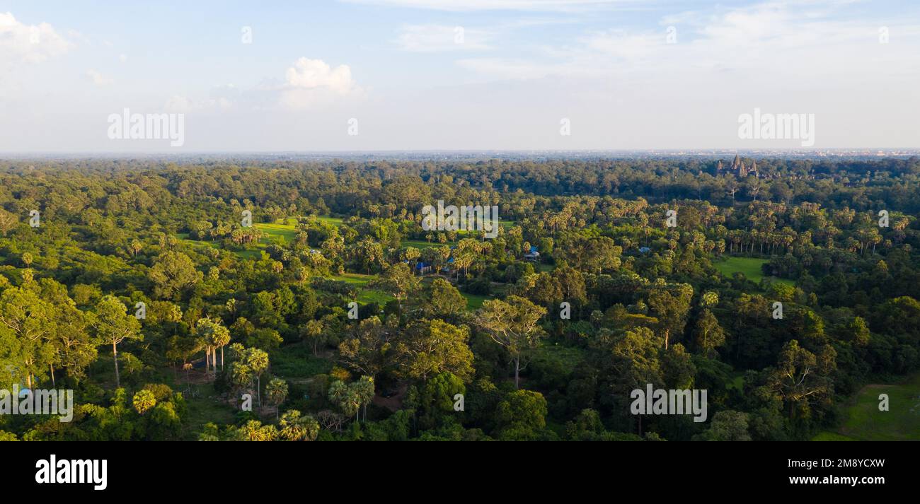 Overlooking the Angkor Wat, Stock Photo