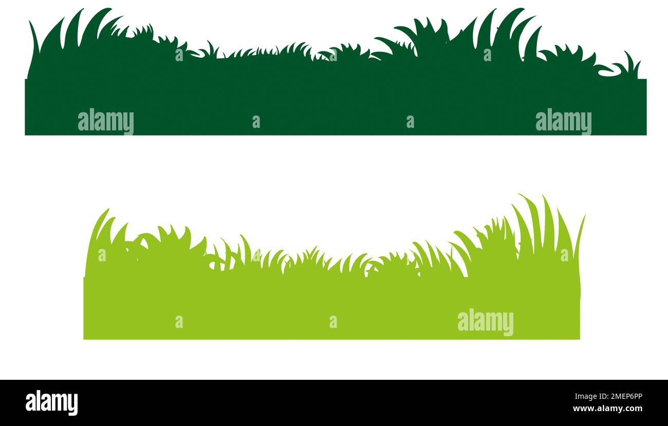 Illustration of grass Stock Photo