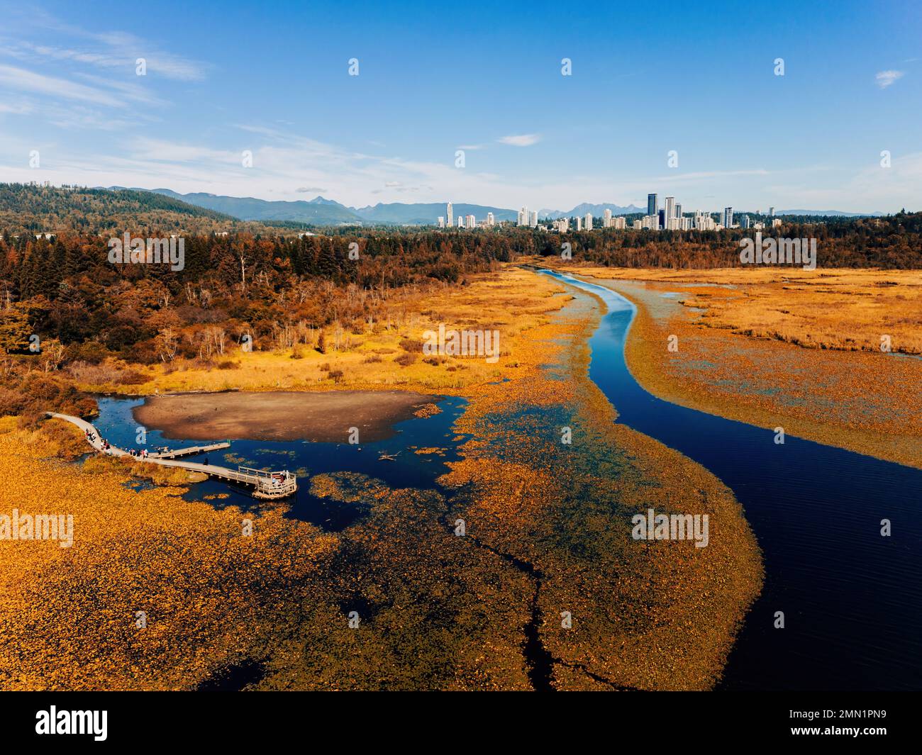 A river view of Burnaby Lake park Stock Photo